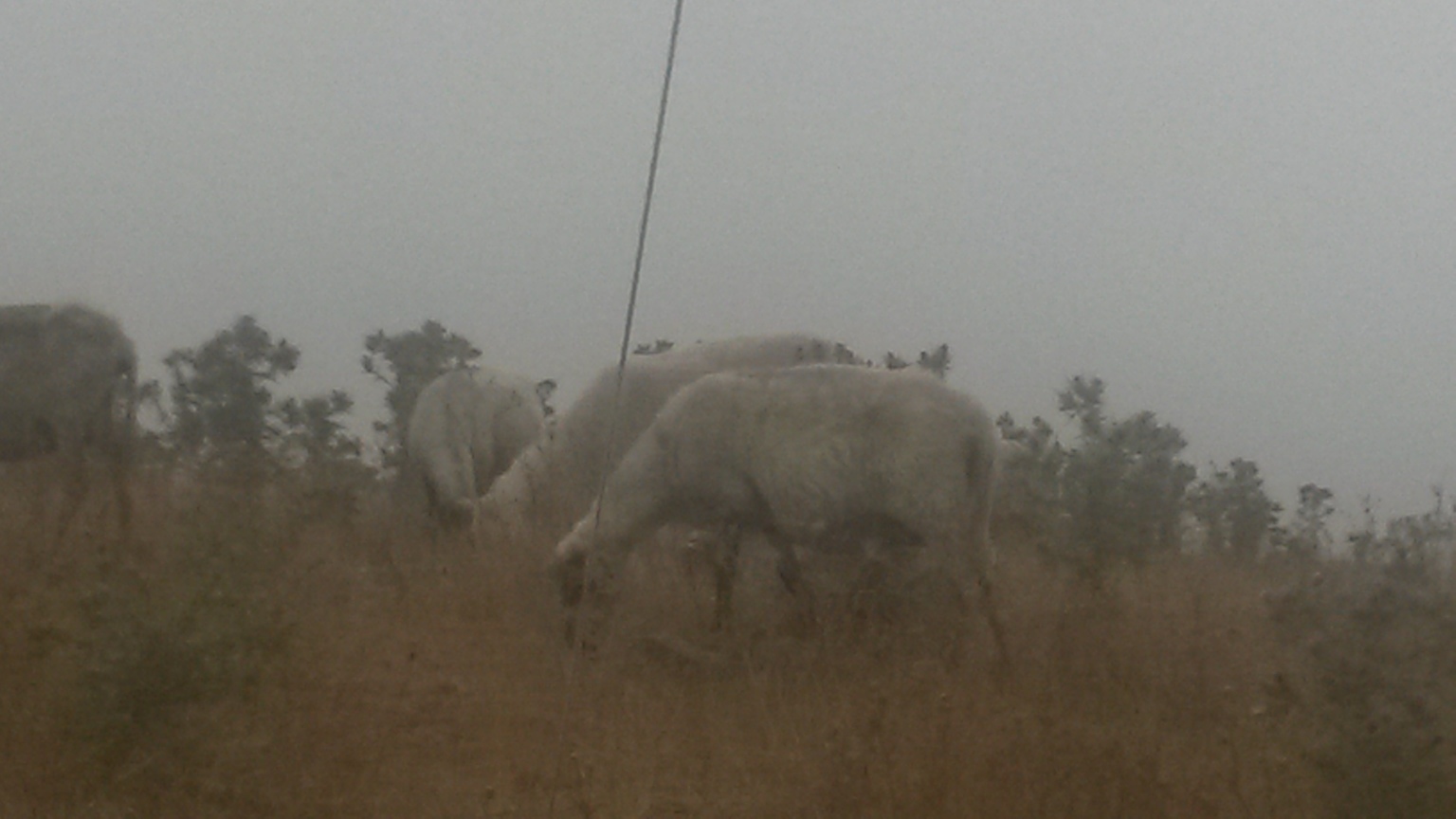 20140824_152242 .jpg